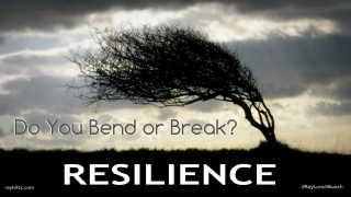 Resilience-bend-or-break-